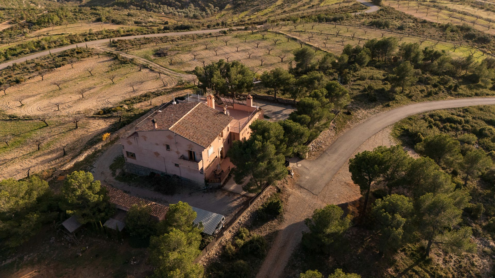Exterior view of Building for sale in Alcublas