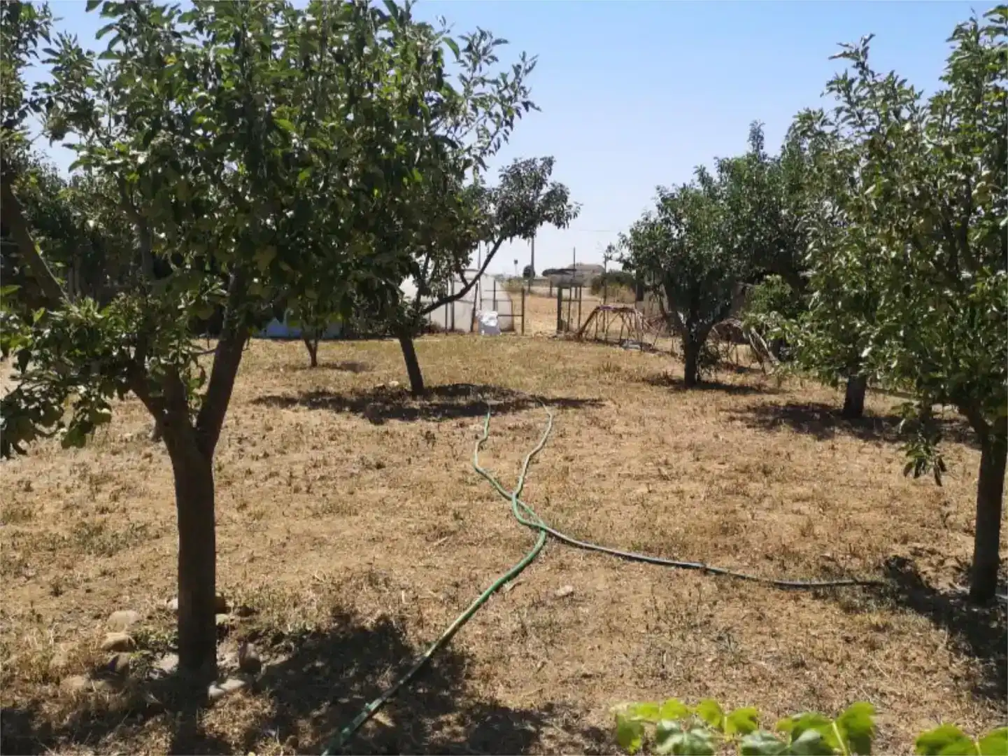 Casa o chalet en venta en Mansilla de las Mulas