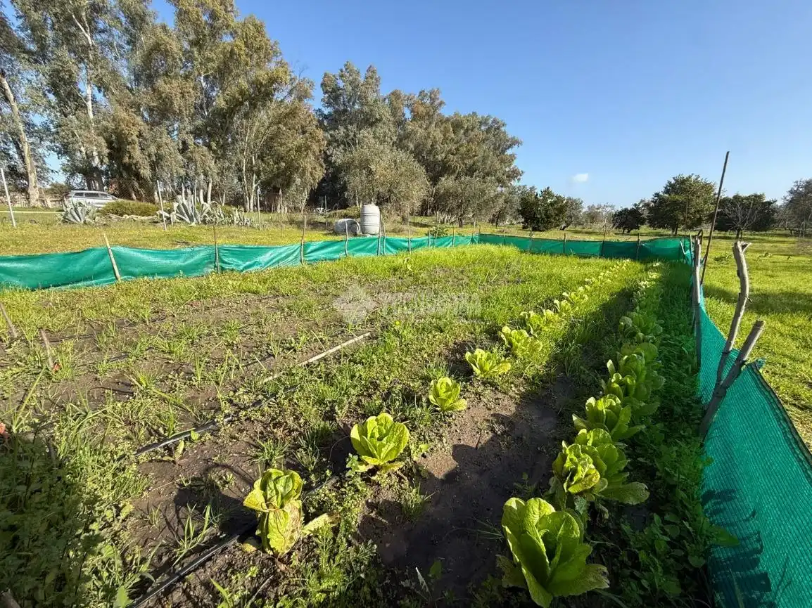 Terreno en venta en Arahal