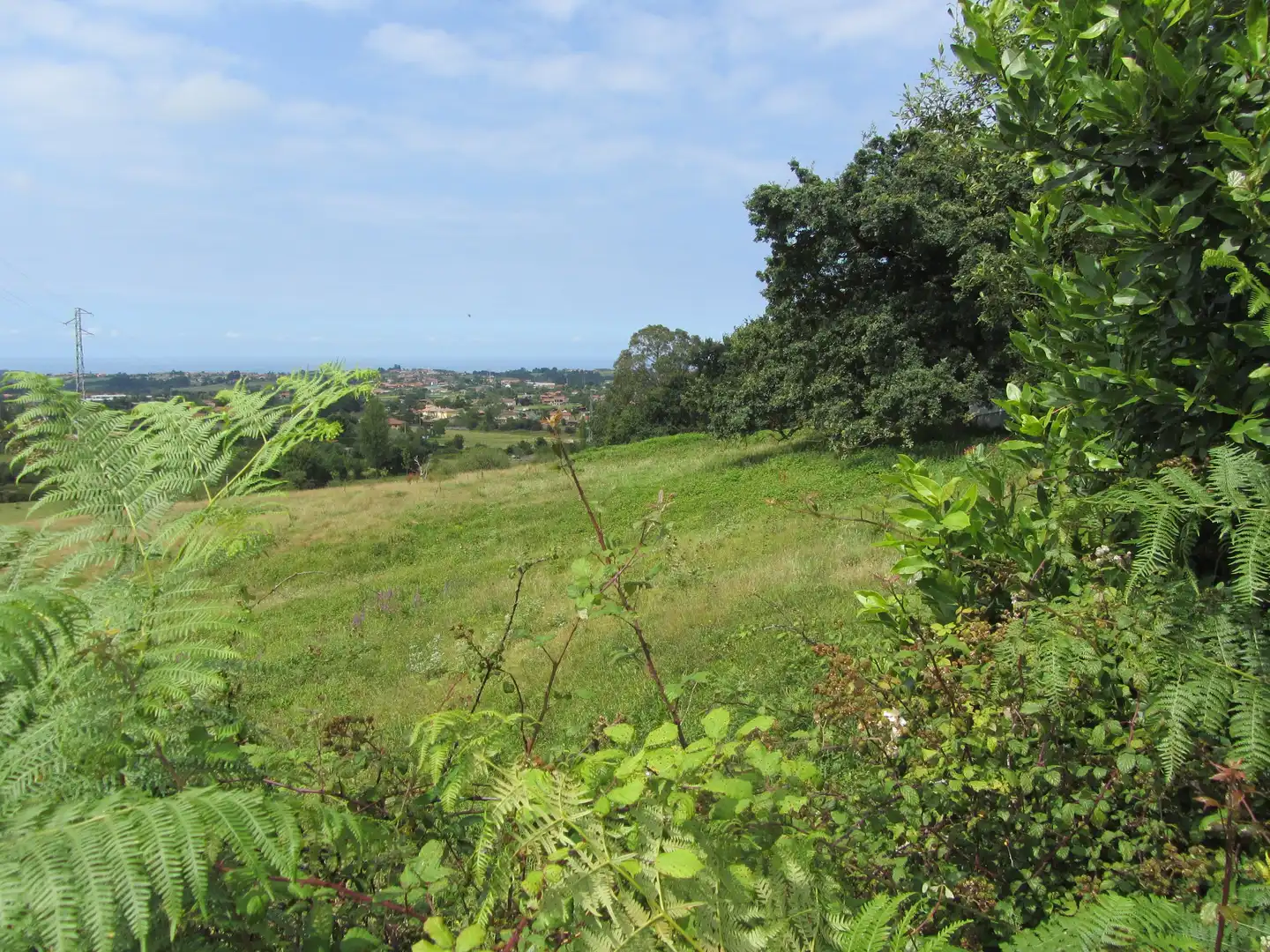 Terreny residencial en venda a Camin de los Payares, imagen 55
