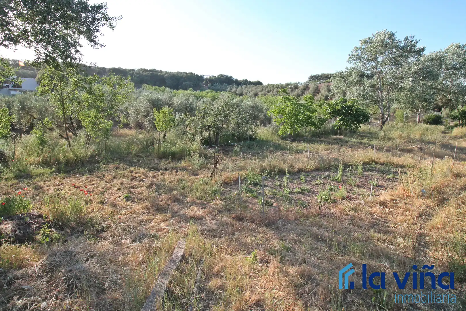 Finca rústica en venta en Archidona con Jardín privado, Trastero y Piscina