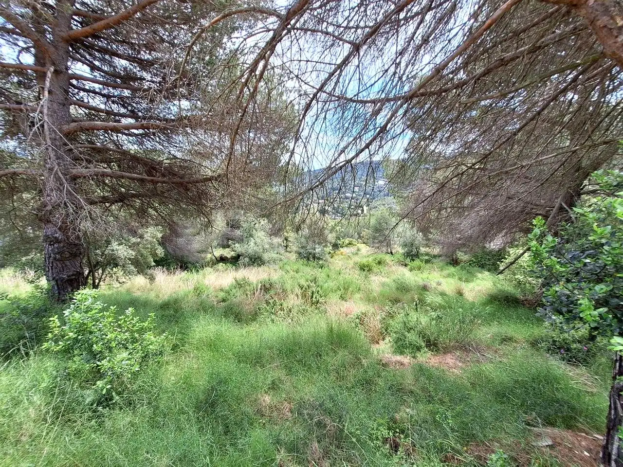 Lands and plots for sale in Nucli Urbà, imagen 6