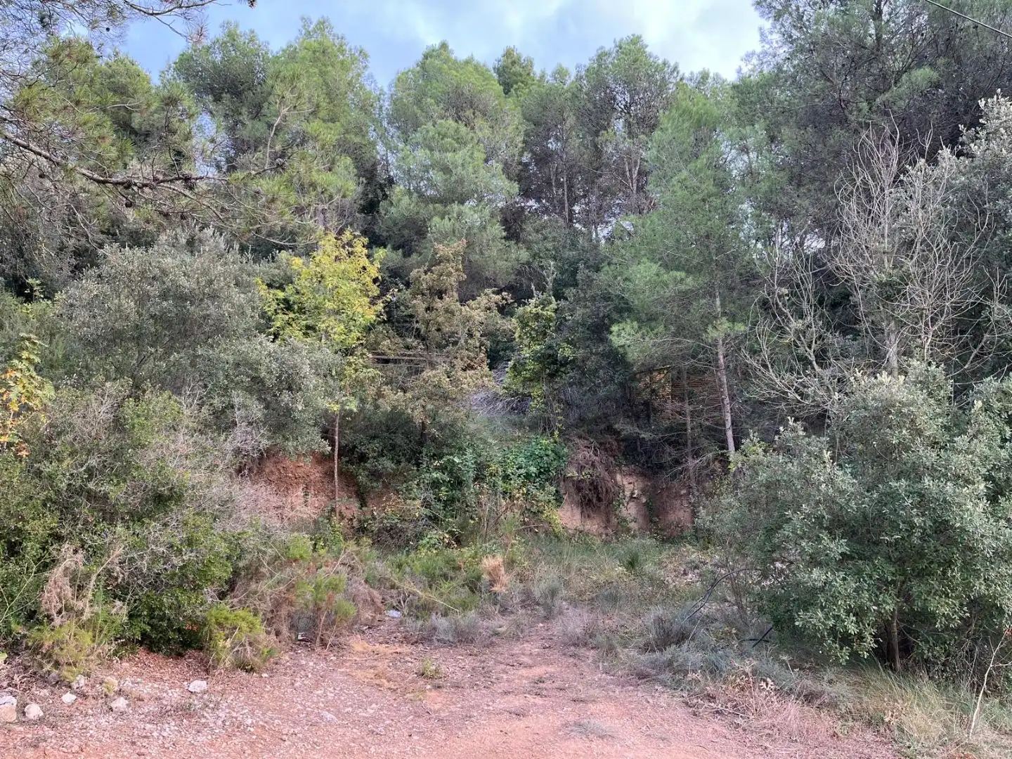 Wohnbaugrundstück zum Verkauf in Carrer Bosc 25, imagen 2