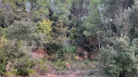 Terreno rural urbanizable de 600m2 con encanto natural, immagine 2