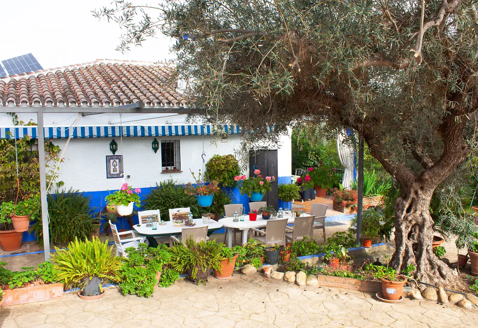 Jardí de Casa o xalet en venda en Coín amb Aire condicionat, Jardí privat i Terrassa