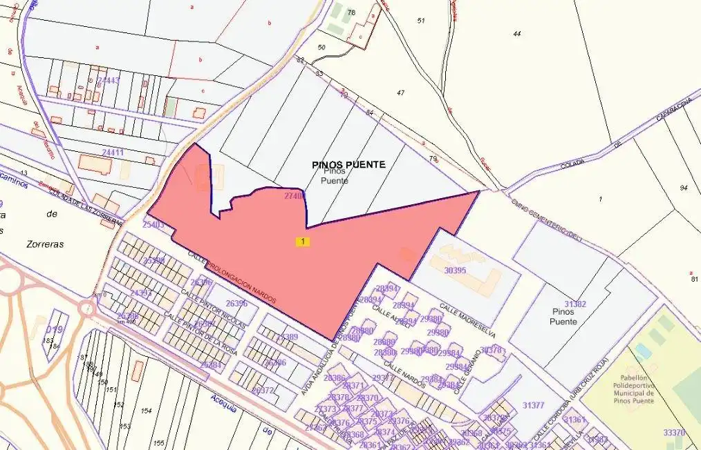 Terreny residencial en venda a Pinos Puente, imagen 8