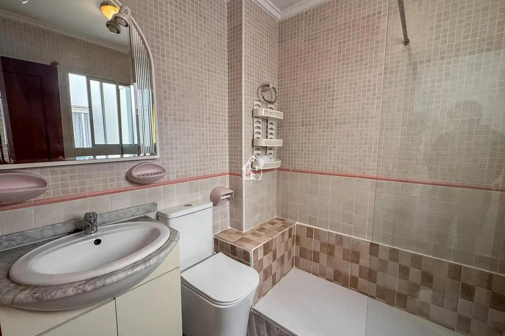 Apartments for rent in Zona Playa de los Locos