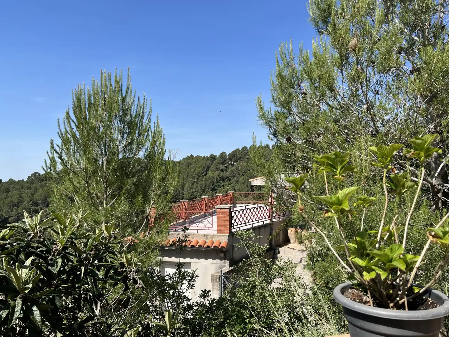 Casa o xalet en venda a ARBOLI, Almoster