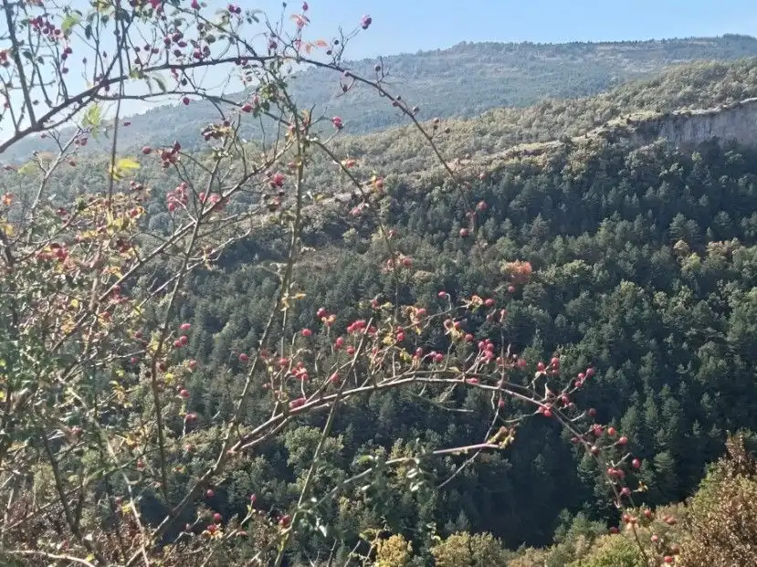 Terreni e lotti in vendita a Alta, imagen 19