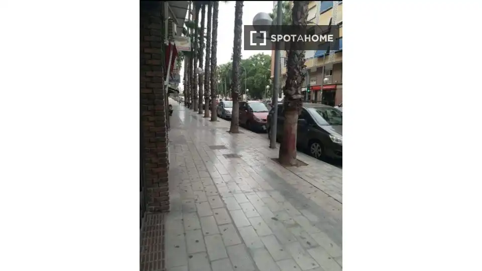 Vista exterior de Pis de lloguer en Alicante / Alacant amb Aire condicionat, Calefacció i Moblat