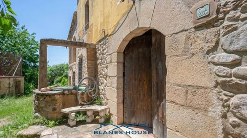 Foto 4 de Finca rústica en venta en Carretera Sta Coloma- Riudarenes, Riudarenes, Girona