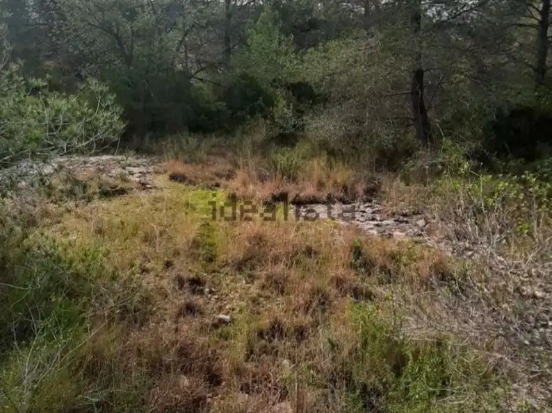 Terreny rústic en venda a Avinguda Catalunya 40, imagen 4