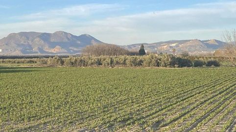 Foto 4 de Finca rústica en venta en Belicena, Vegas del Genil