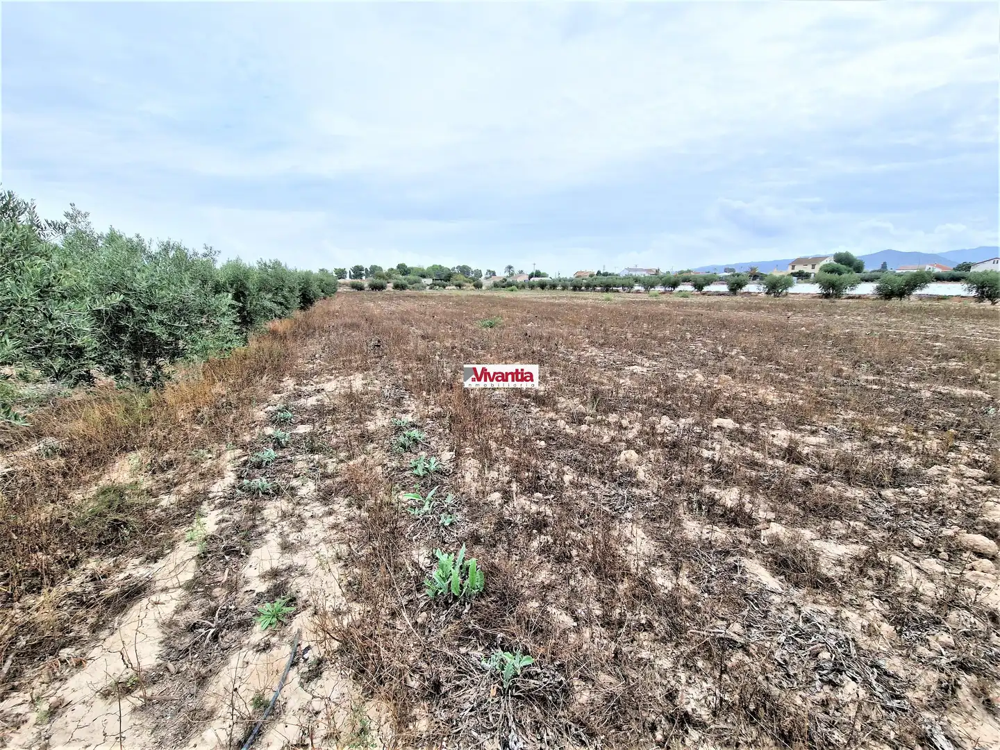 Residential for sale in Lorca