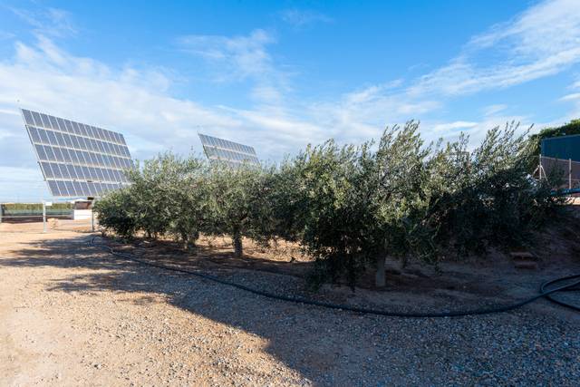 Finca rústica en Venta en Pozo Estrecho