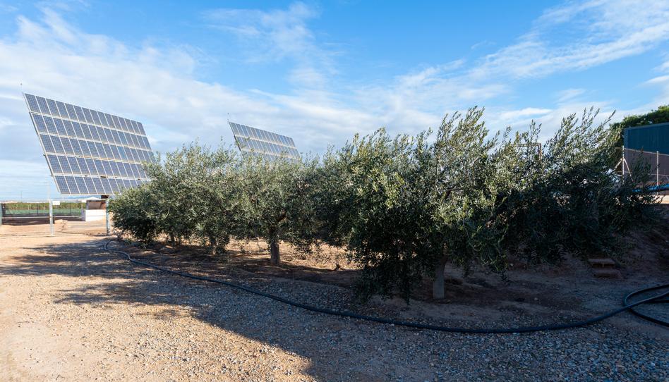 Foto 1 de Finca rústica en venda a Pozo Estrecho, Murcia