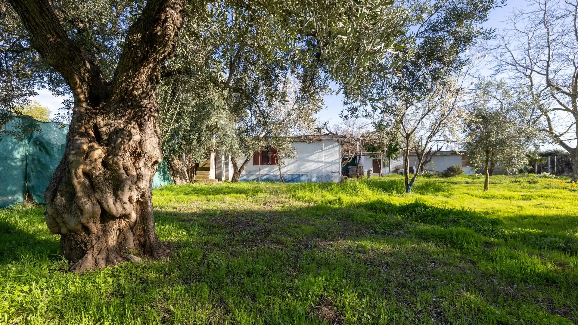 Casa o chalet en venta en Villa de Otura