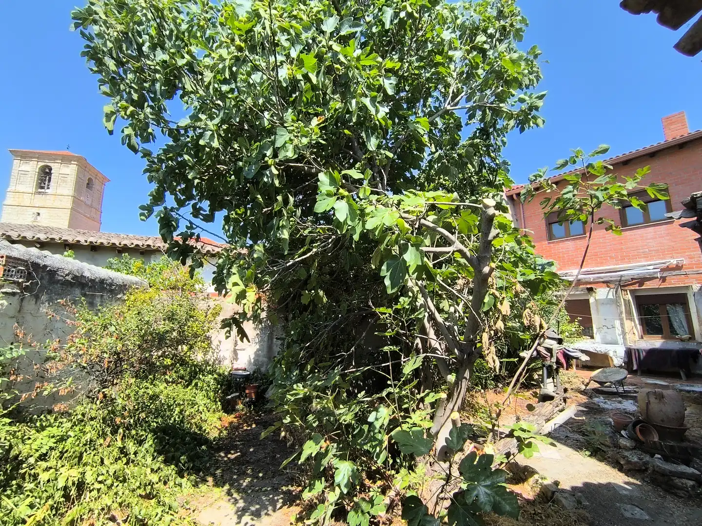 Jardín de Casa o chalet en venta en Pedraza de Campos con Calefacción, Jardín privado y Terraza