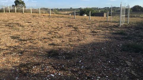 Photo 2 of Country house for sale in Rociana del Condado, Huelva