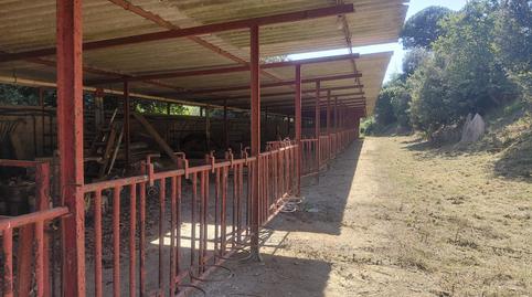 Photo 5 of Industrial buildings to rent in Canyamars, Barcelona