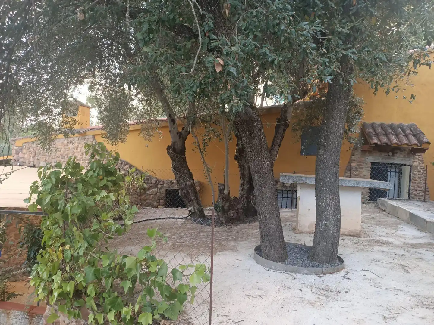 Jardí de Casa o xalet en venda en Piedrabuena amb Aire condicionat, Calefacció i Jardí privat