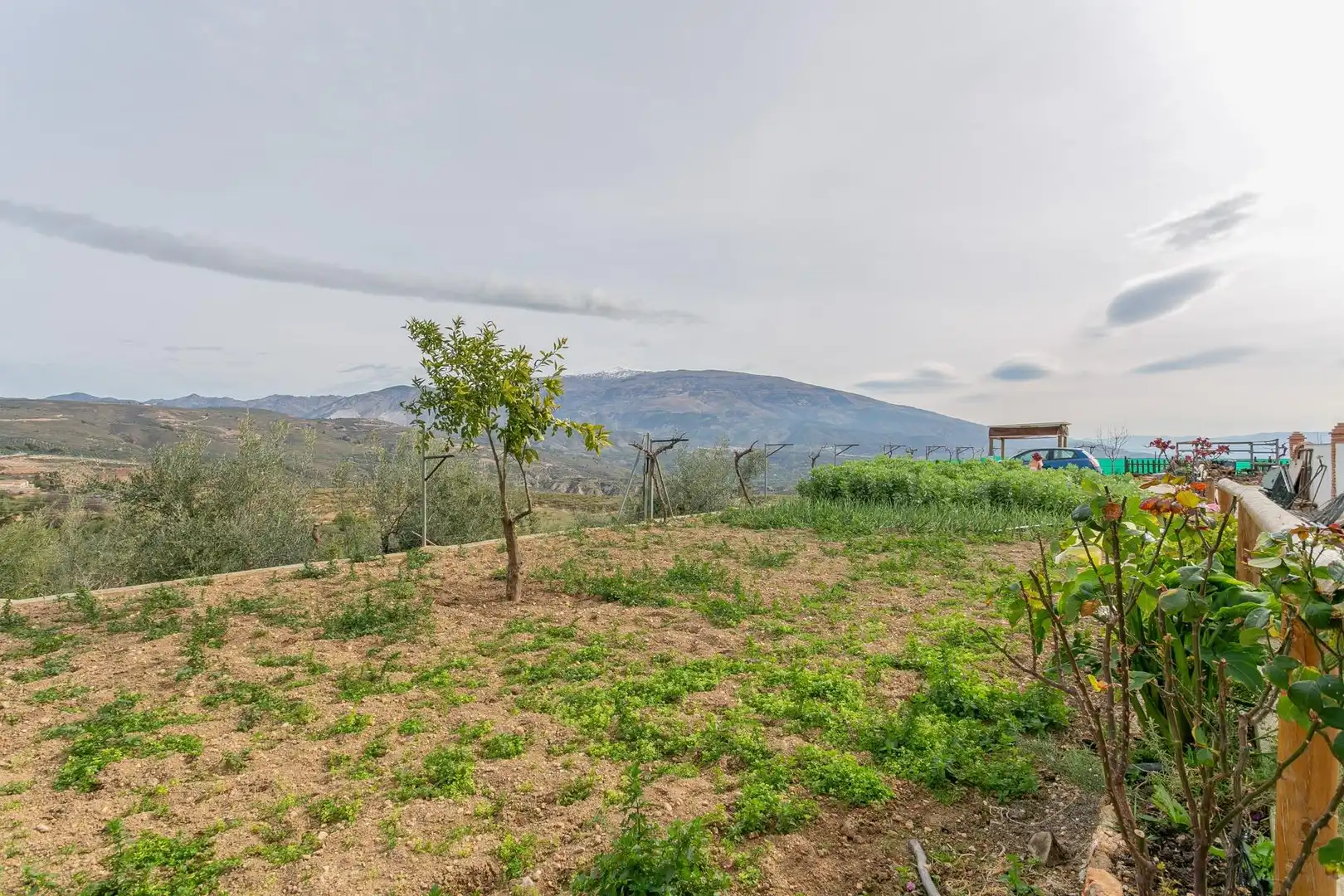 Casa o chalet en venta en Albuñuelas con Aire acondicionado, Jardín privado y Terraza
