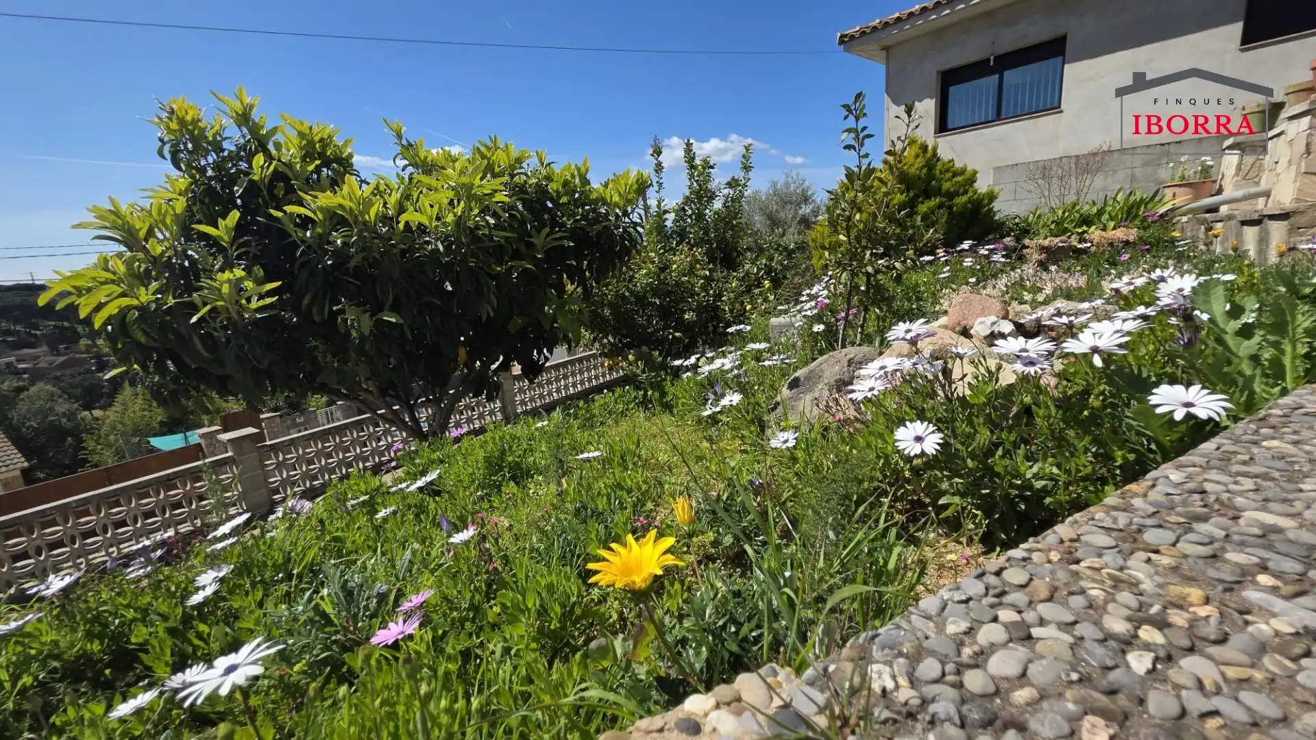 Jardí de Casa o xalet en venda en Tordera amb Jardí privat