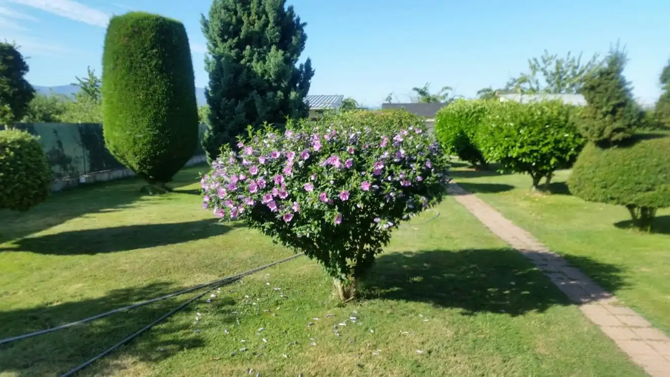 Jardín de Finca rústica en venta en Cabañas Raras con Calefacción, Terraza y Piscina