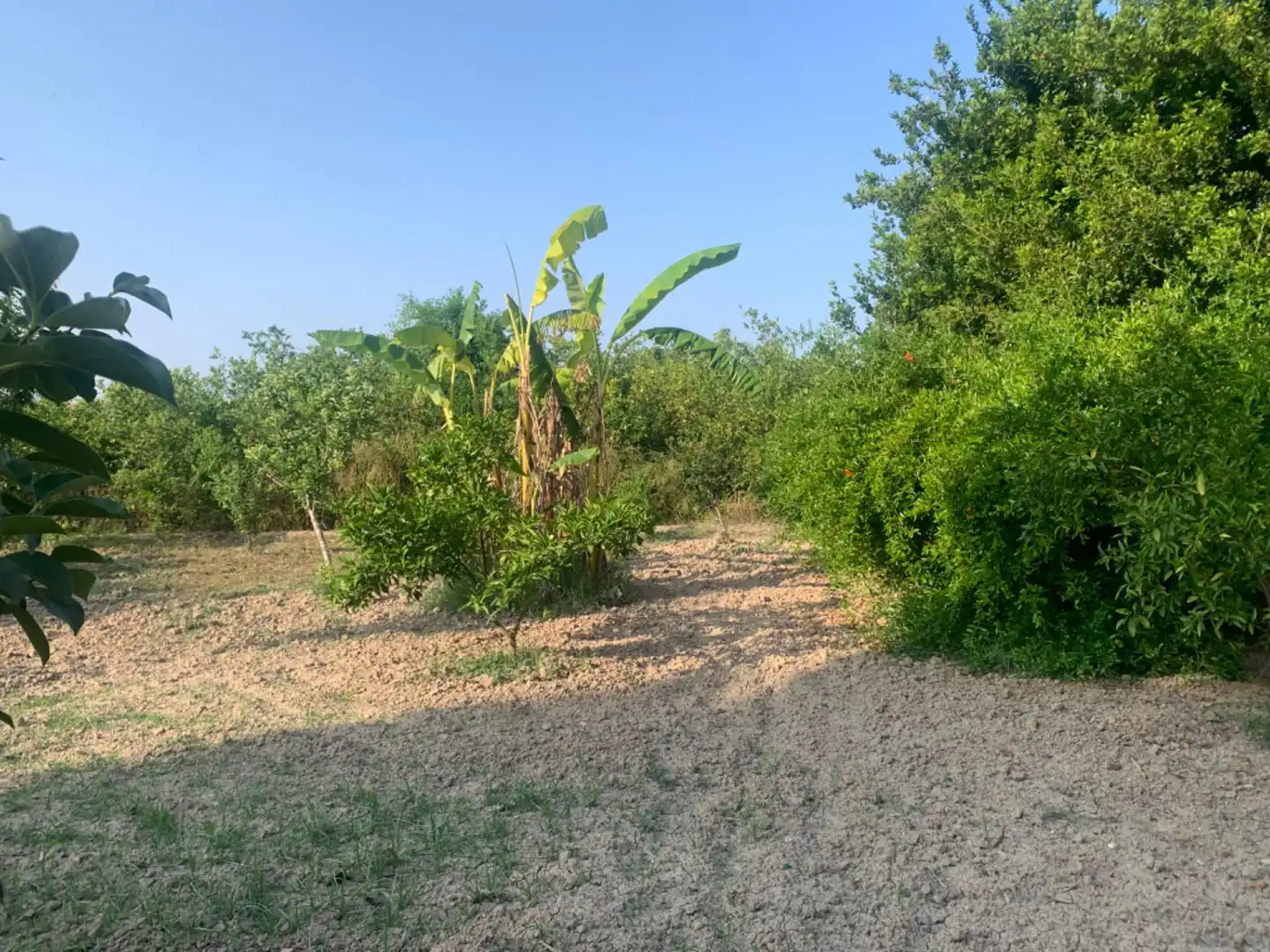 Finca rústica en venda a Alquerías