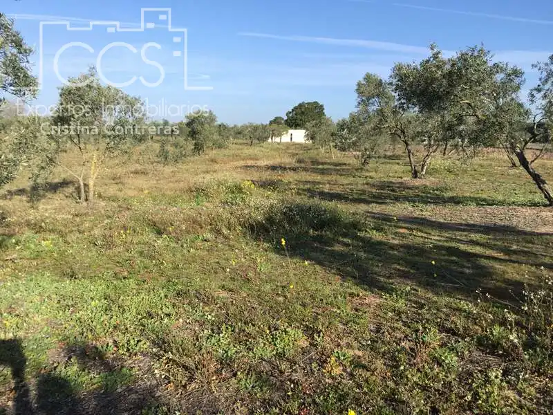 Finca rústica en venta en Almonte