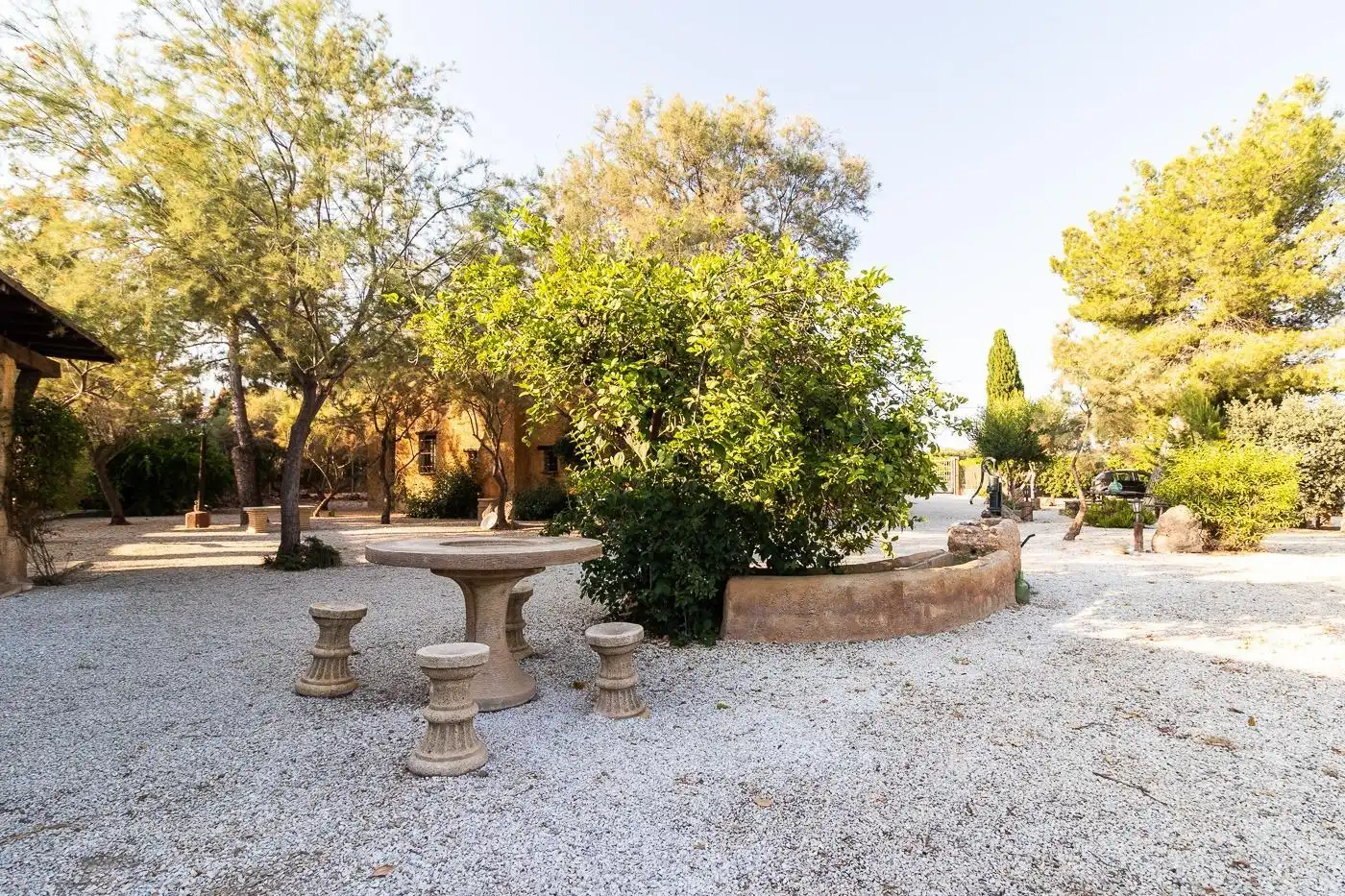 Jardí de Casa o xalet en venda en Mula