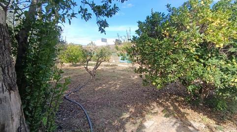 Foto 5 de Finca rústica en venda a Partida Aixihuili, El Secanet - Hacienda del Sol, Alicante