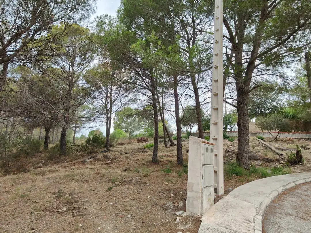 Wohnbaugrundstück zum Verkauf in Calle la Serreta miñana 39I, imagen 10