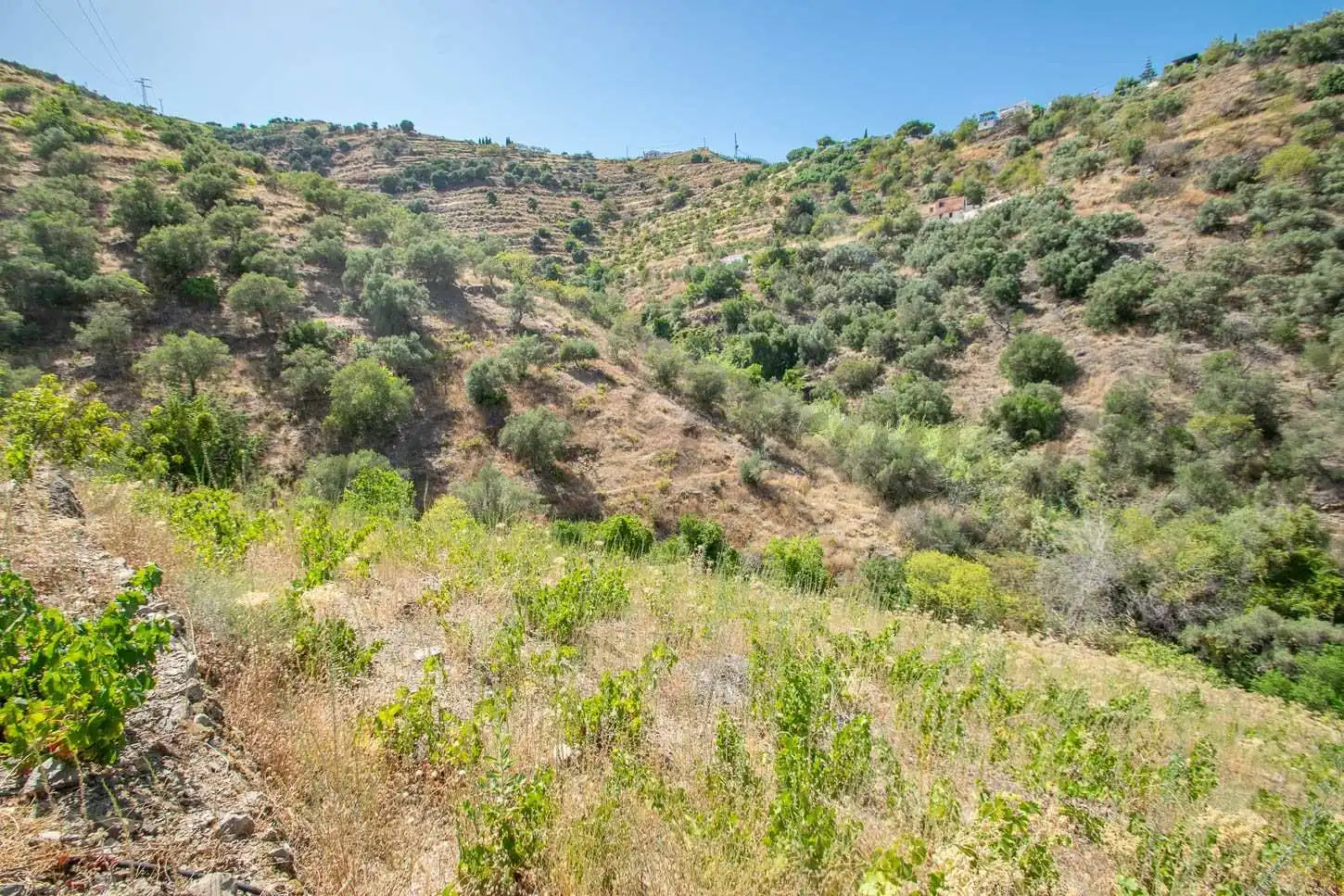Rustikales Grundstück zum Verkauf in Torrox Pueblo, imagen 3