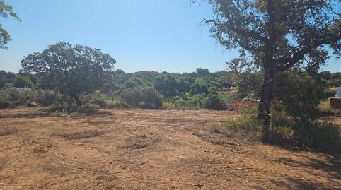 Foto 2 de Terreno industrial en venta en Castilblanco de los Arroyos, Sevilla