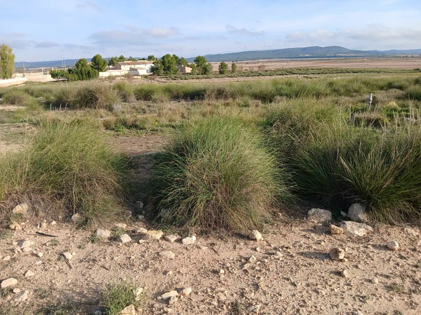 Residential land for sale in Yecla, imagen 6