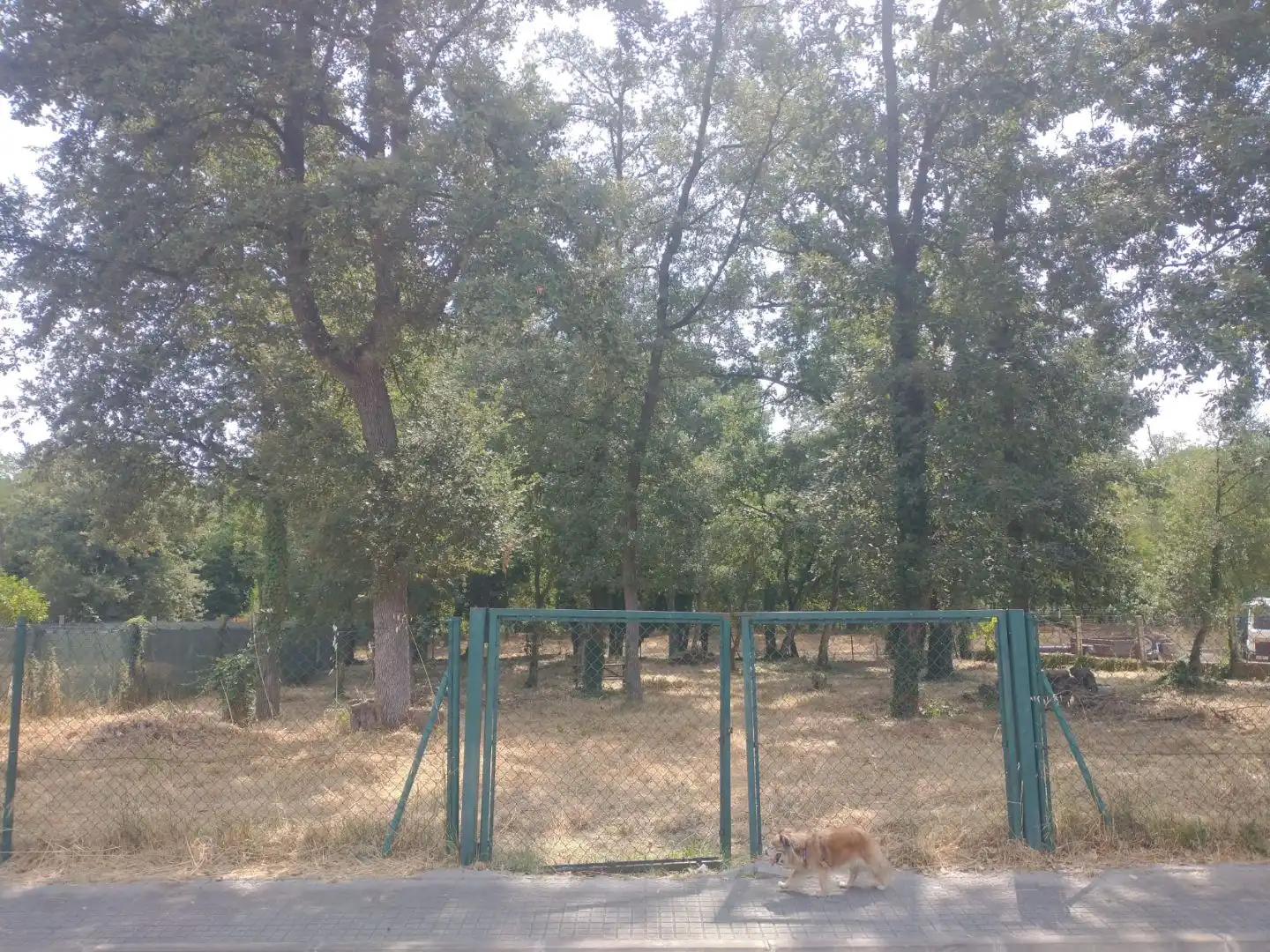 Residential land for sale in Carrer Salvador Dalí 13, imagen 3