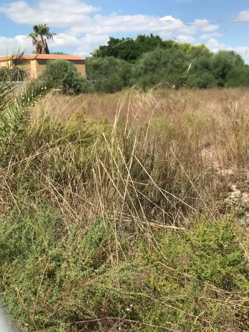 Terreno residencial en venta en La Foia - Daimés - Asprella, imagen 18