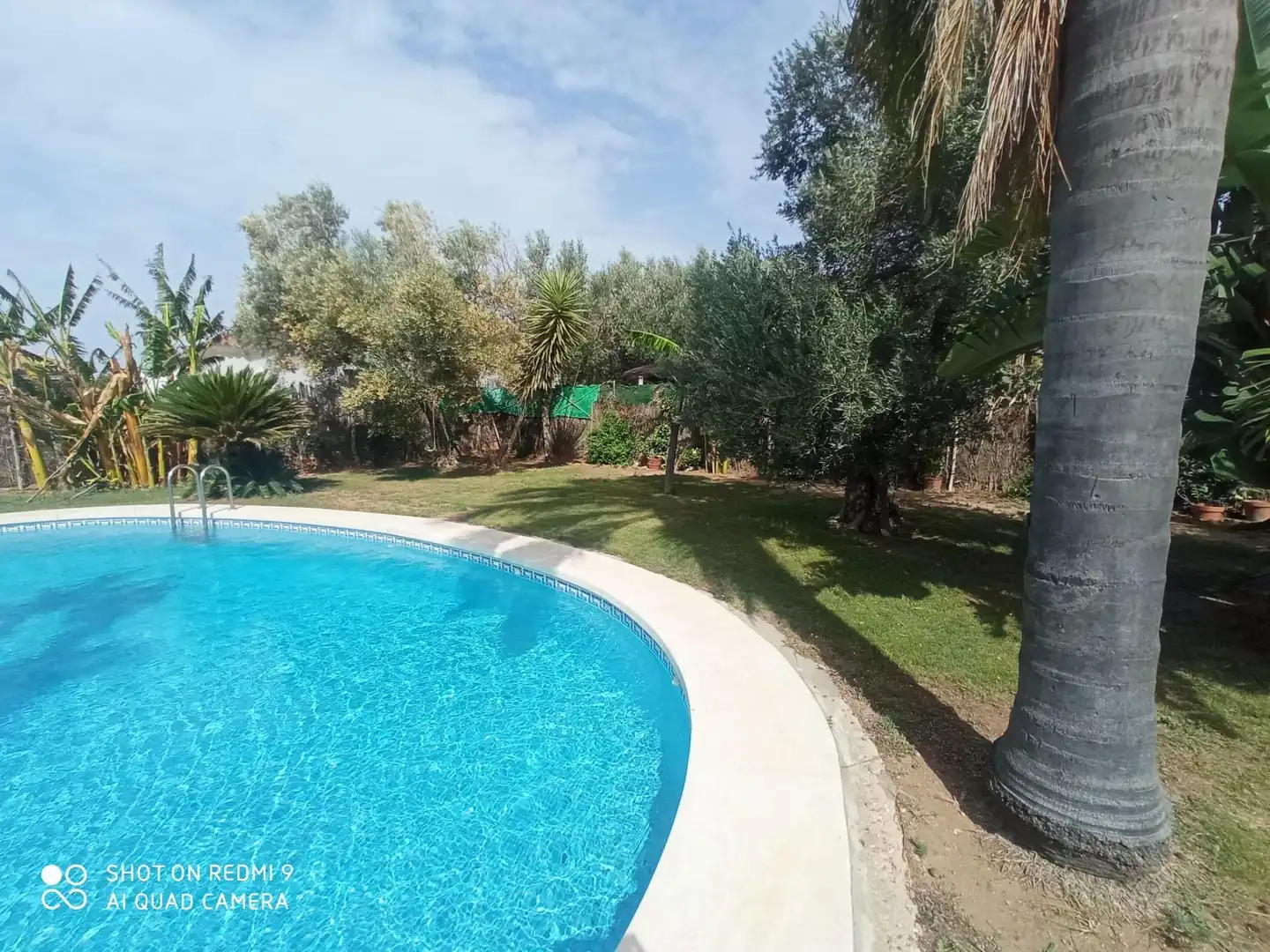 Piscina de Casa o xalet en venda en Puerto Real amb Jardí privat, Piscina i Alarma