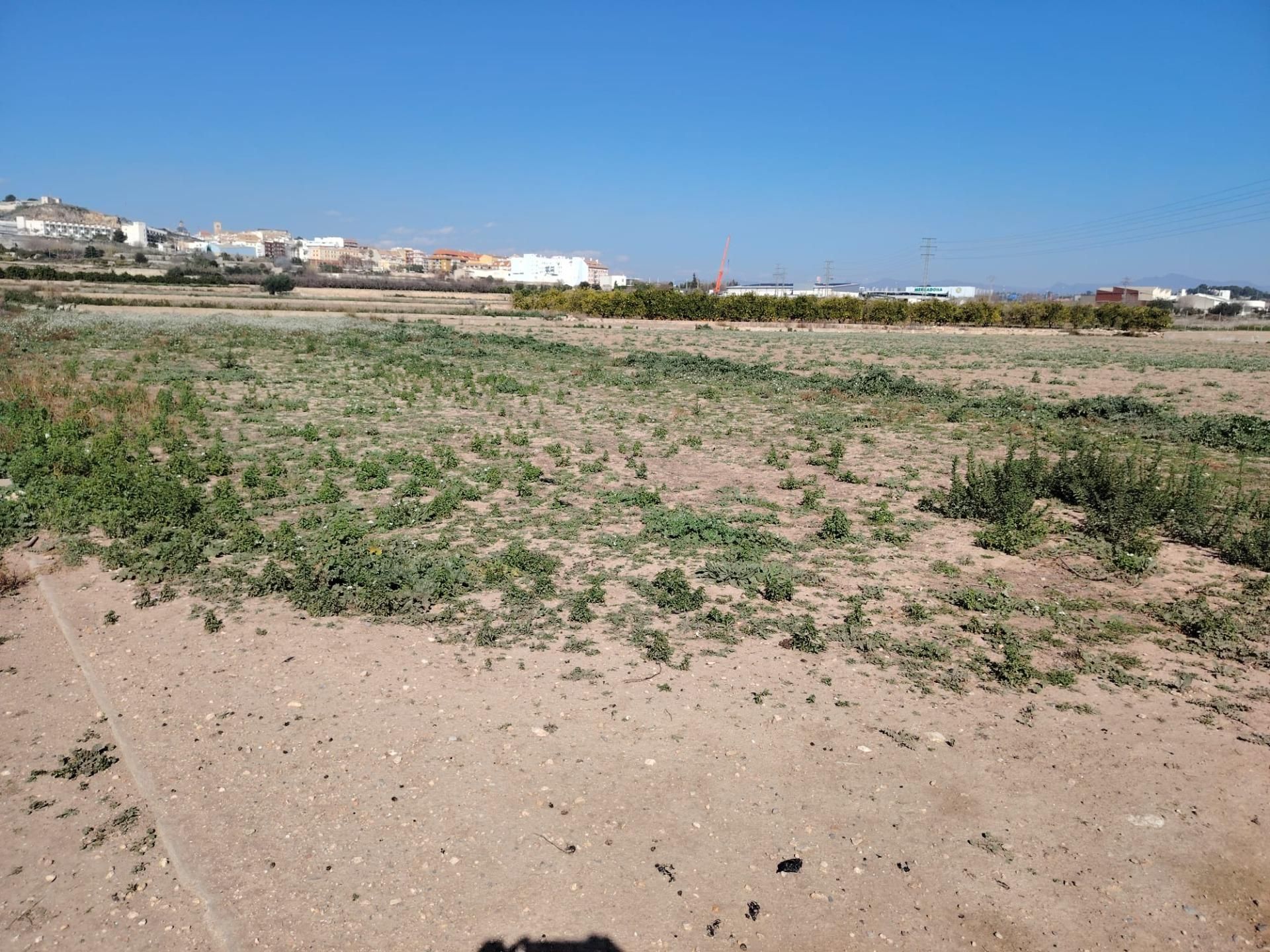 Land for sale in Llíria
