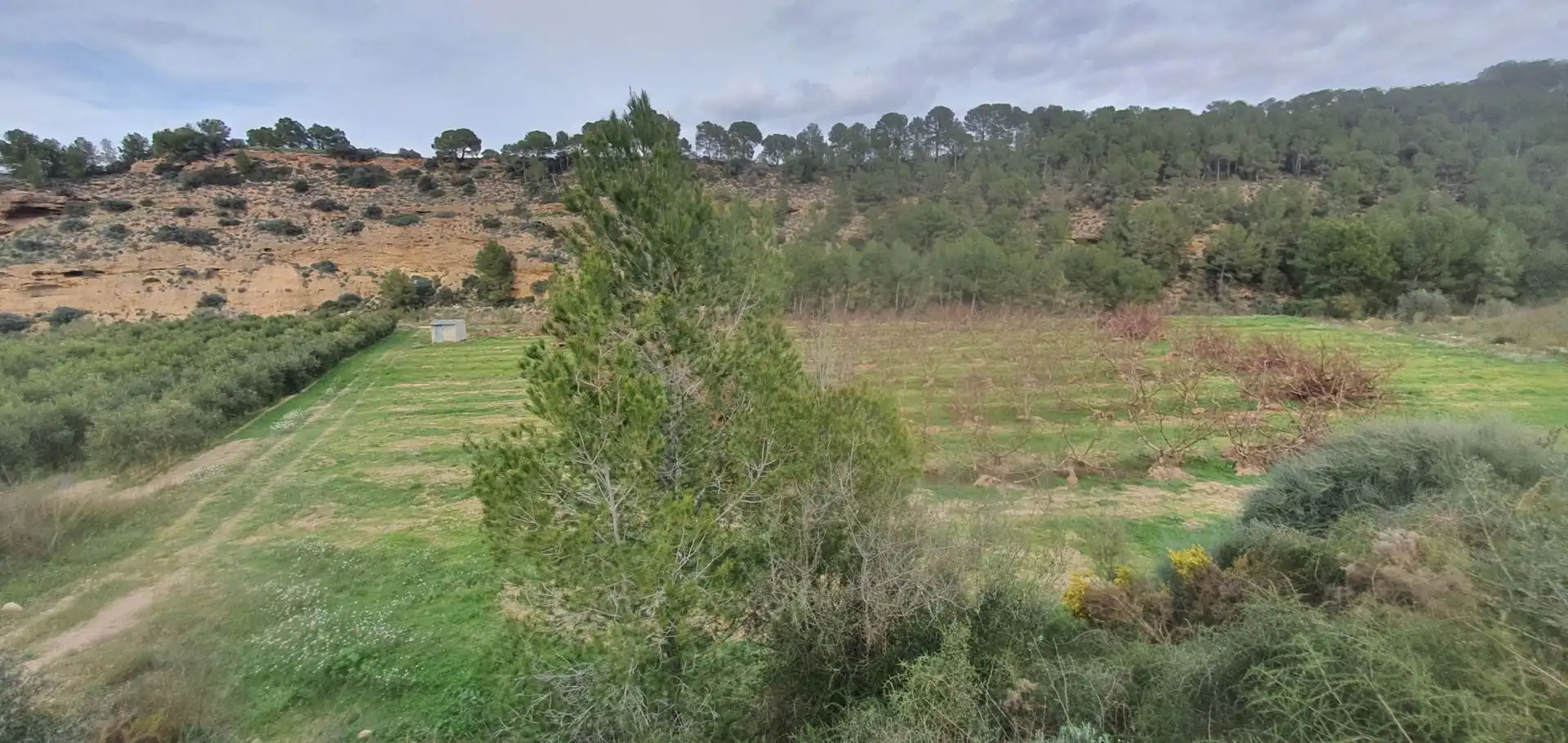 Rural land for sale in Ginestar, imagen 10