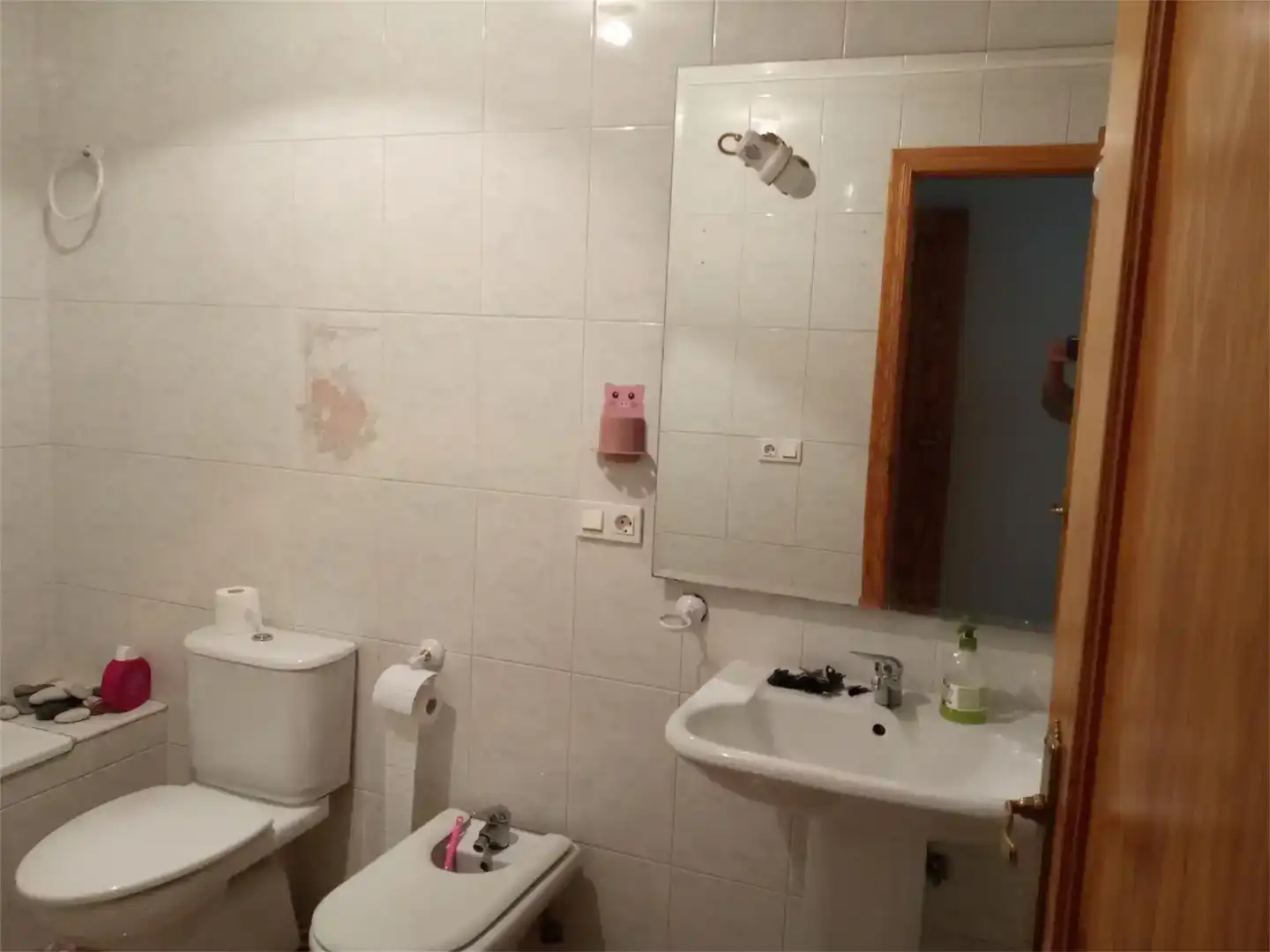 Bany de Pis en venda en Santa Cruz de Mudela amb Aire condicionat, Moblat i Forn