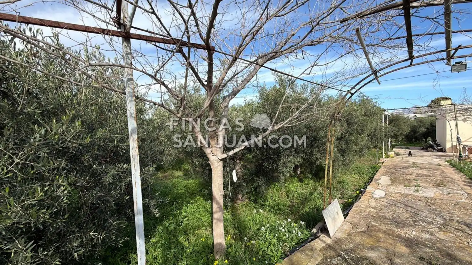 Finca rústica en venta en Centro