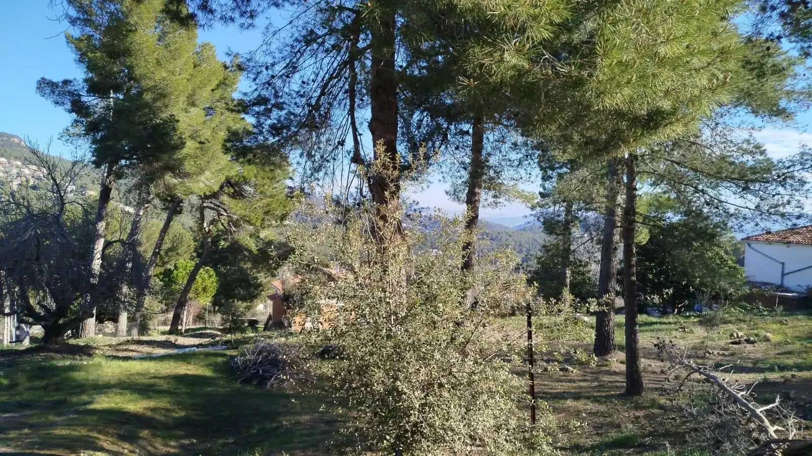 Wohnbaugrundstück zum Verkauf in Carrer de Rafael Albertí, imagen 3