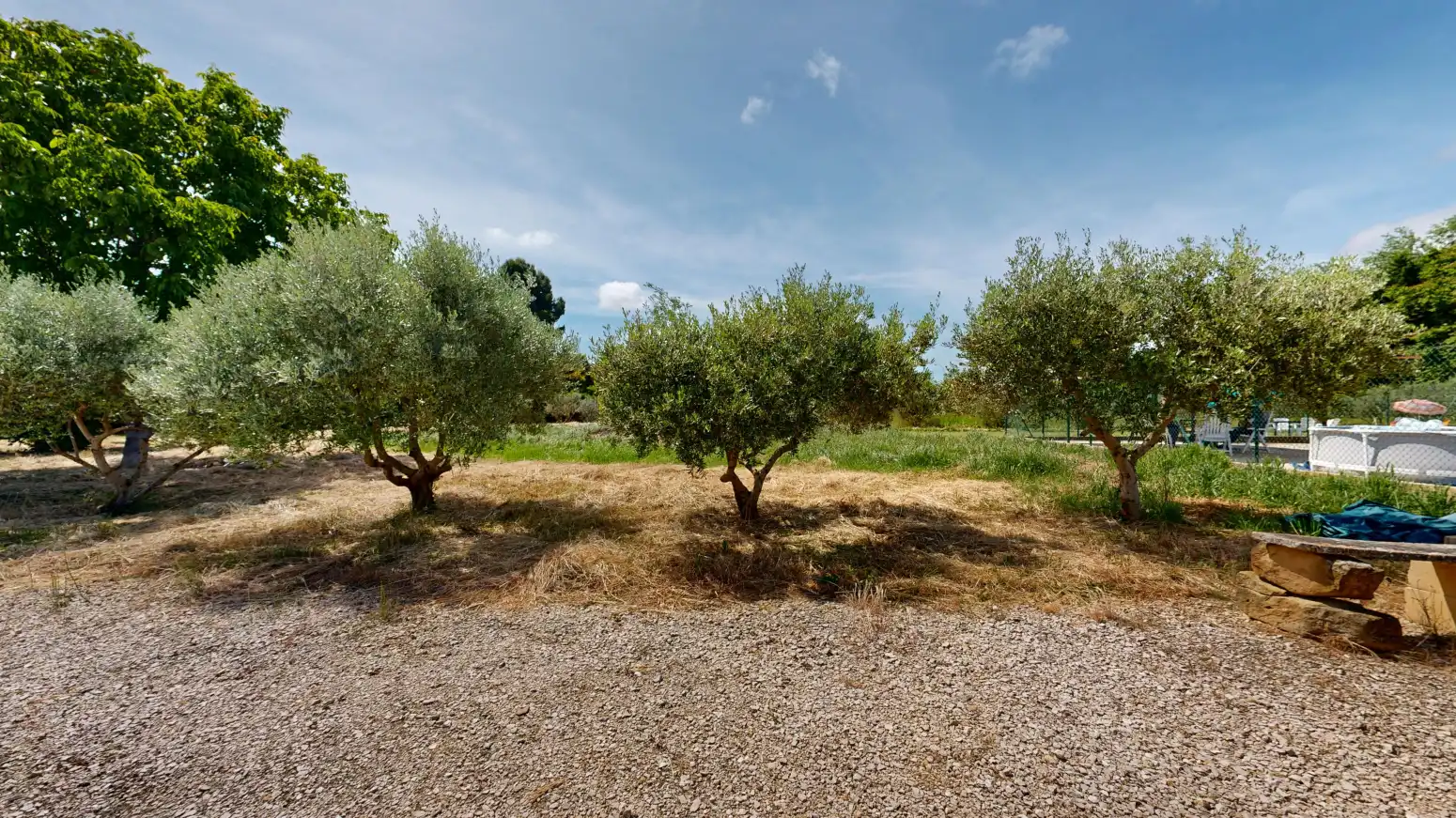 Rural land for sale in Tafalla - PARAJE LA RECUEJA, imagen 58