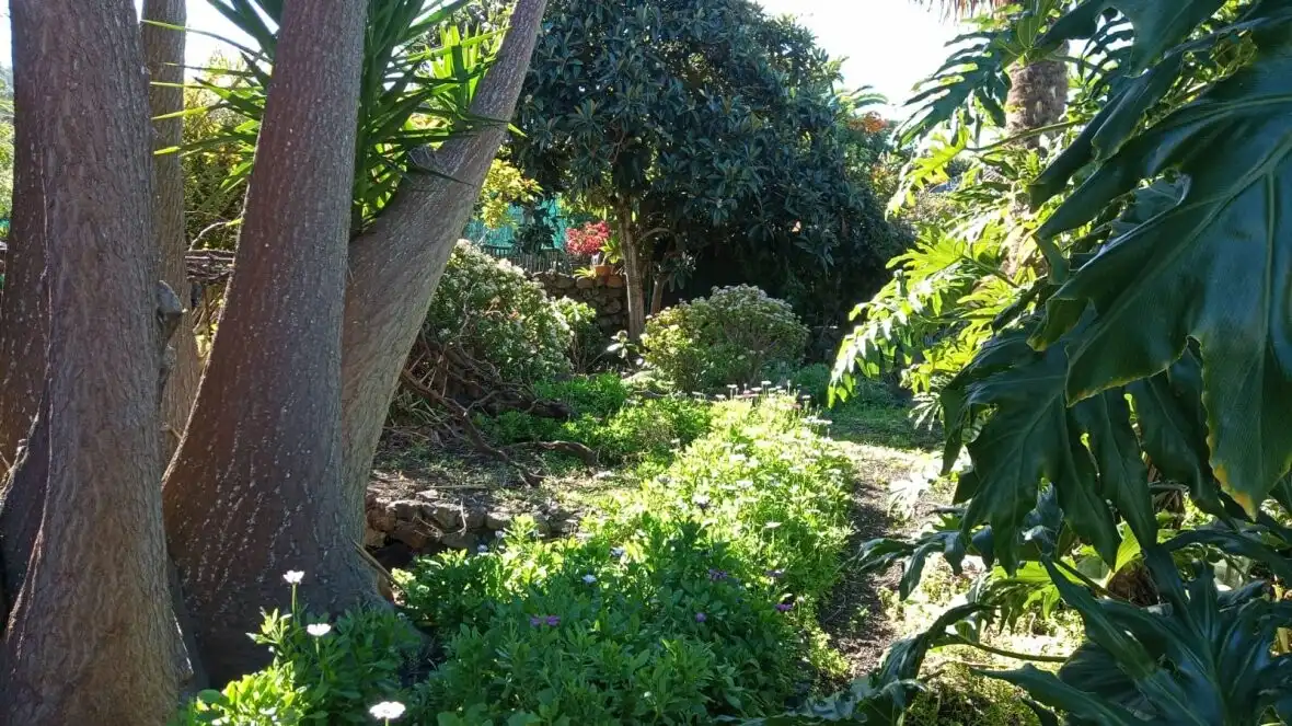 Jardí de Finca rústica en venda en Icod de los Vinos amb Terrassa