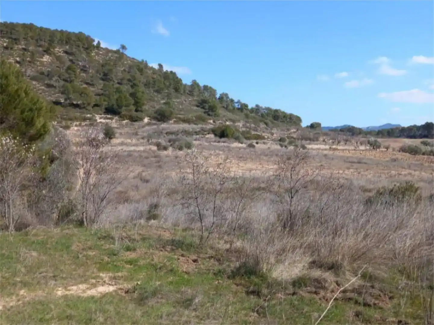 Terreno en venta en Corbera d'Ebre