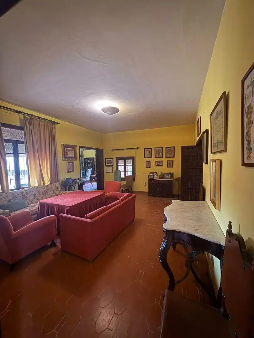 Sala d'estar de Casa o xalet en venda en Écija