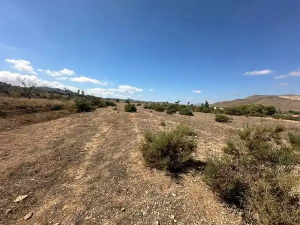 Terreno rústico en venta en Hondón de los Frailes, imagen 11