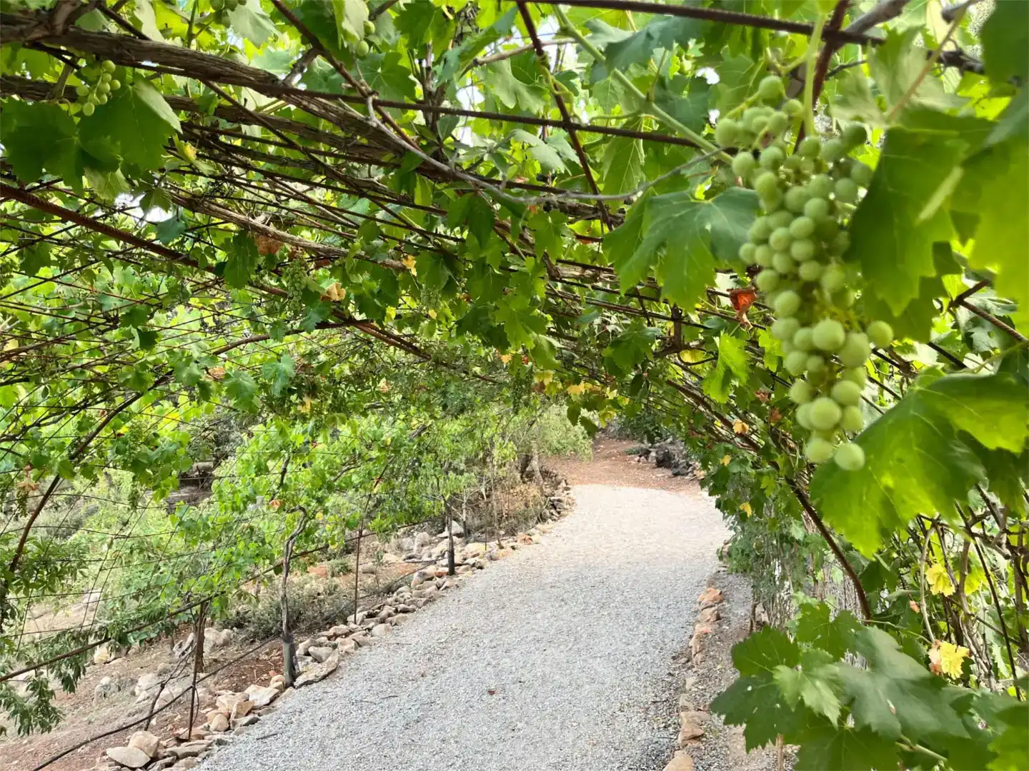 Jardí de Finca rústica en venda en Alcalá la Real amb Piscina i Balcó